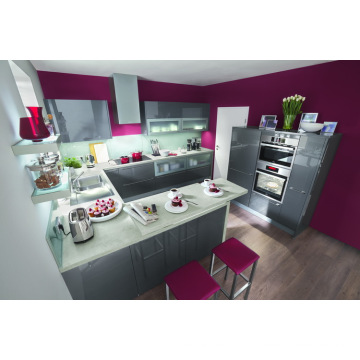 Kitchen Furniture Cupboard Cabinet Design (GLOE179)